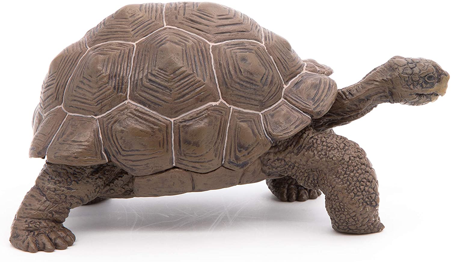 Figurina - Galapagos Tortoise | Papo - 2 | YEO