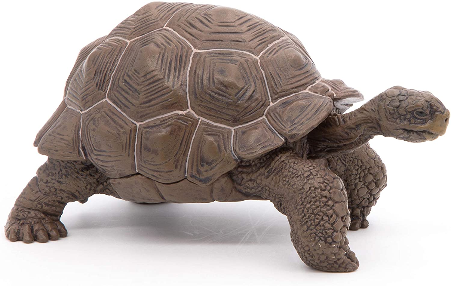 Figurina - Galapagos Tortoise | Papo - 3 | YEO