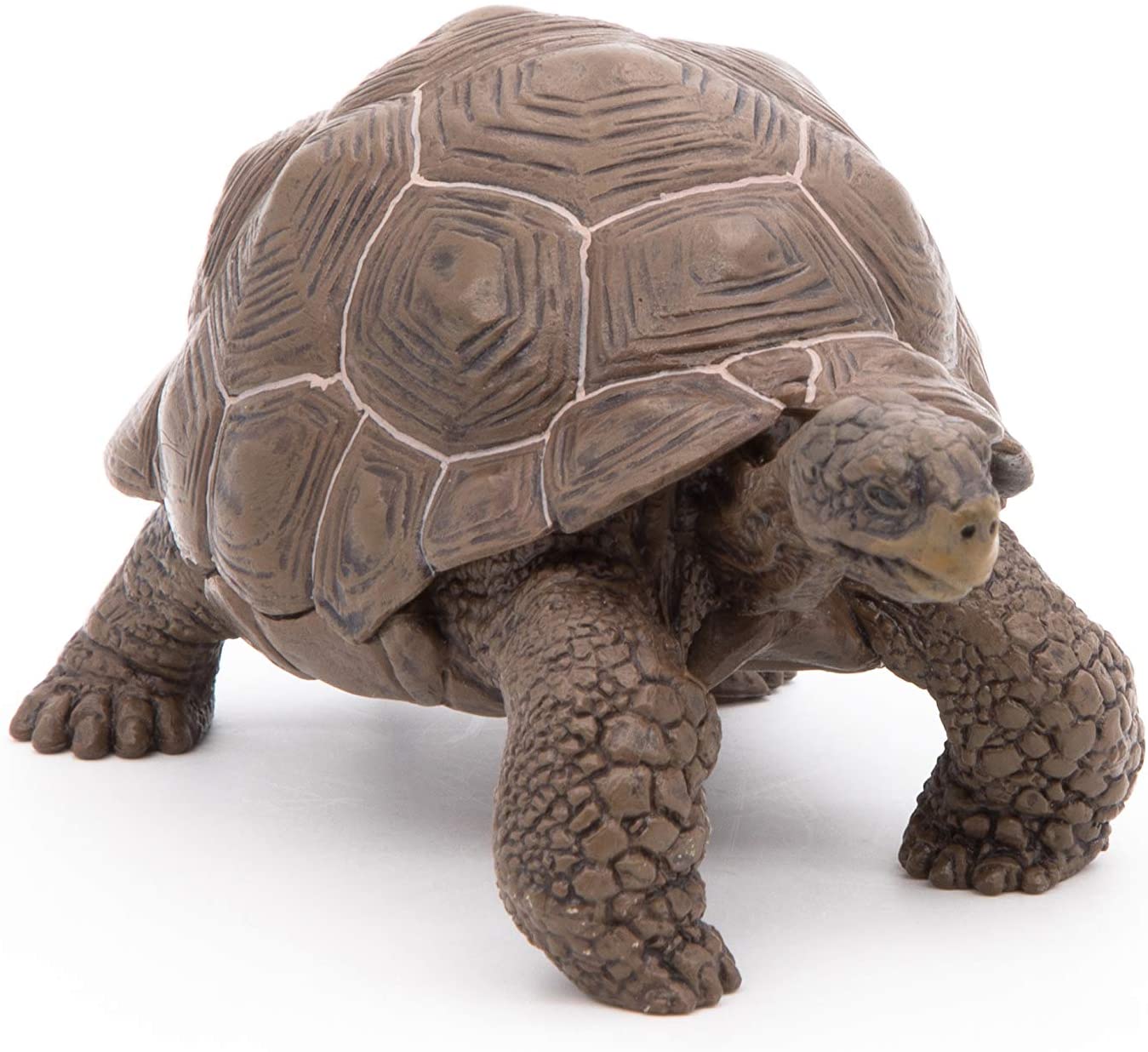 Figurina - Galapagos Tortoise | Papo - 4 | YEO