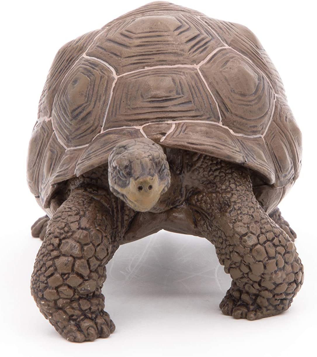 Figurina - Galapagos Tortoise | Papo - 5 | YEO