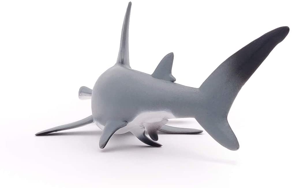 Figurina - Marine Life - Hammerhead Shark | Papo - 4 | YEO