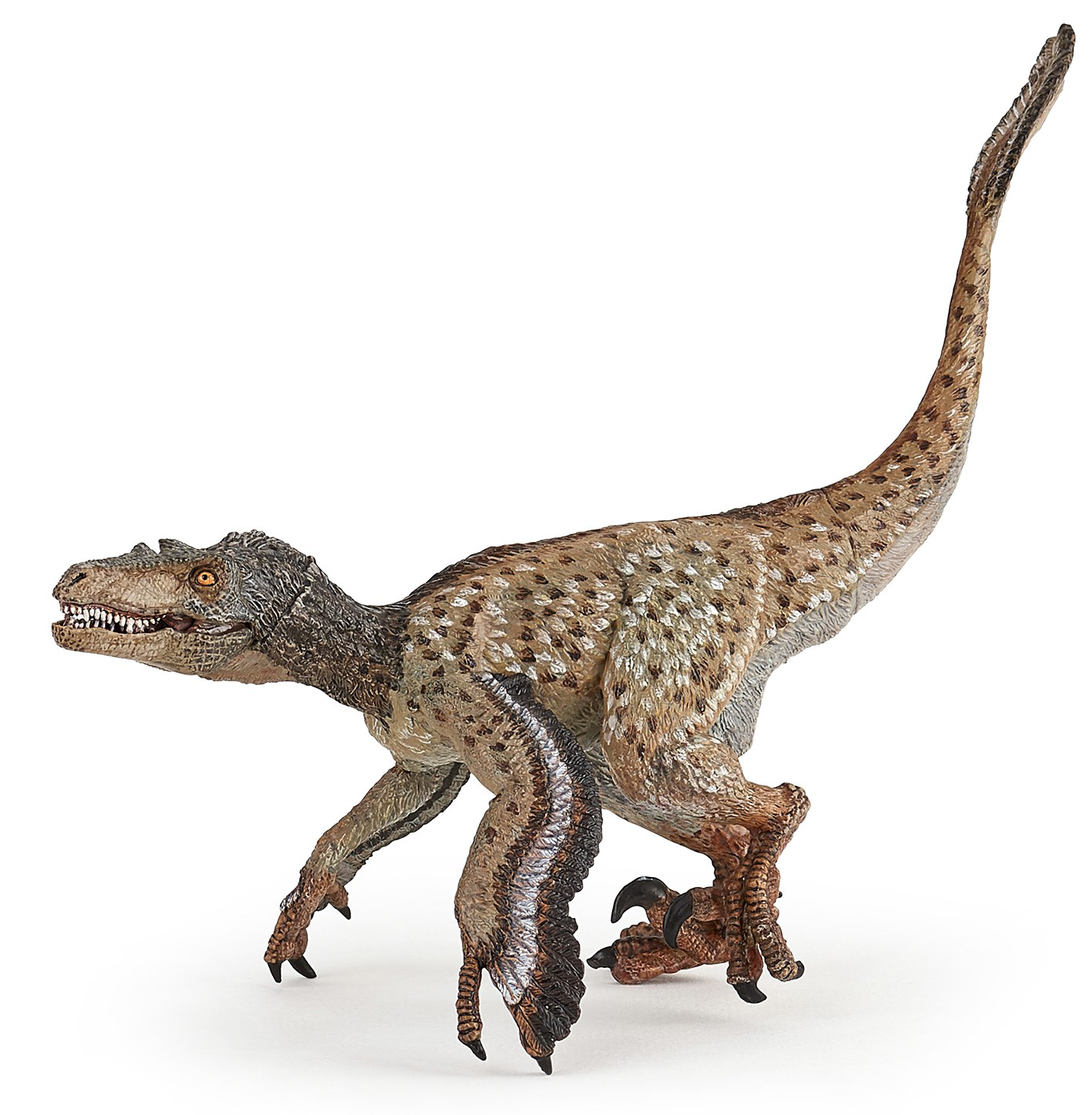 Figurina - Dinosaurs - Feathered velociraptor | Papo