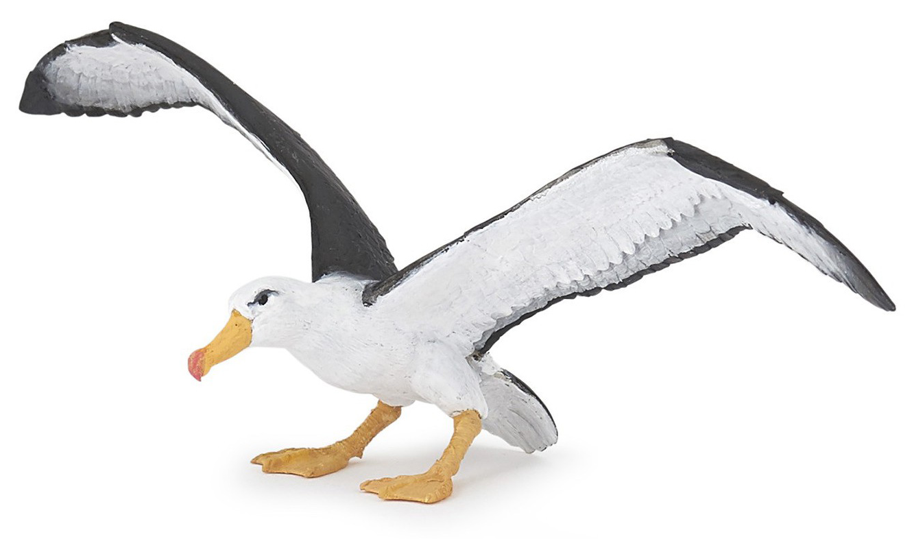 Figurina - Marine Life - Albatross | Papo