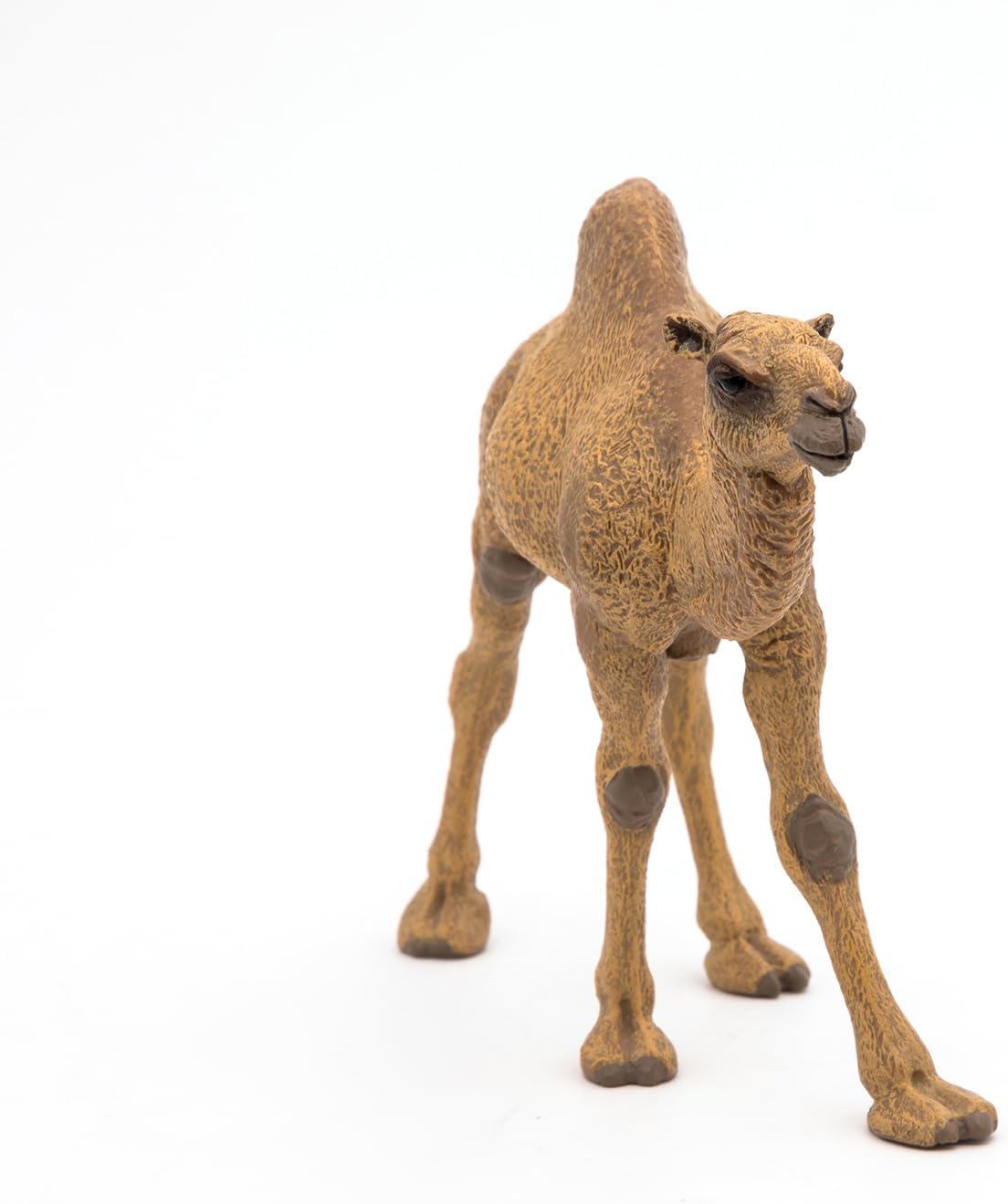 Figurina - Wild Animal Kingdom - Dromedary | Papo - 3 | YEO