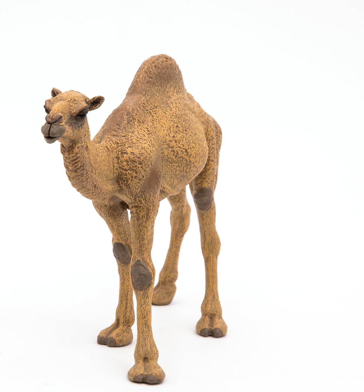 Figurina - Wild Animal Kingdom - Dromedary | Papo - 4 | YEO