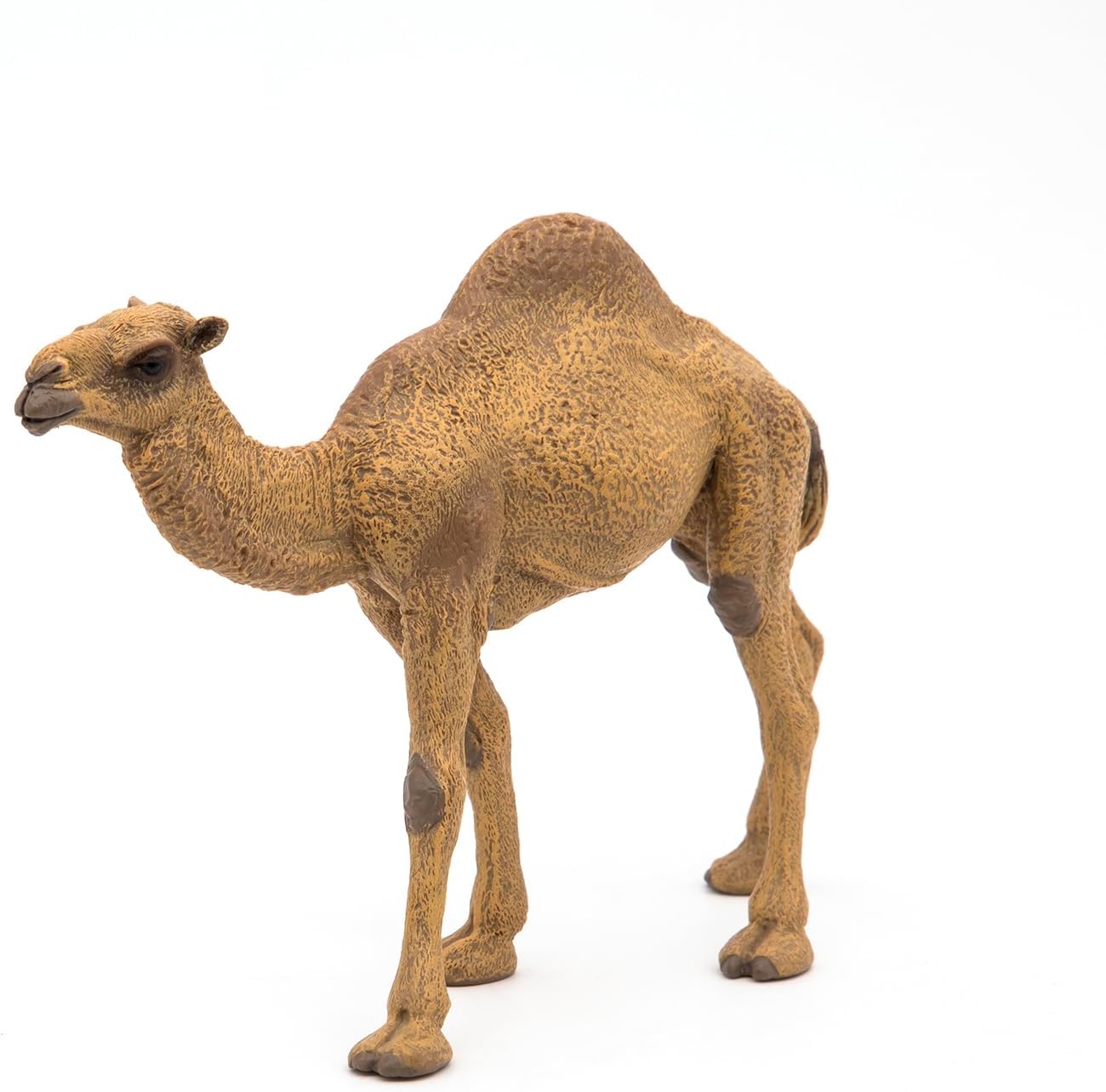 Figurina - Wild Animal Kingdom - Dromedary | Papo - 5 | YEO