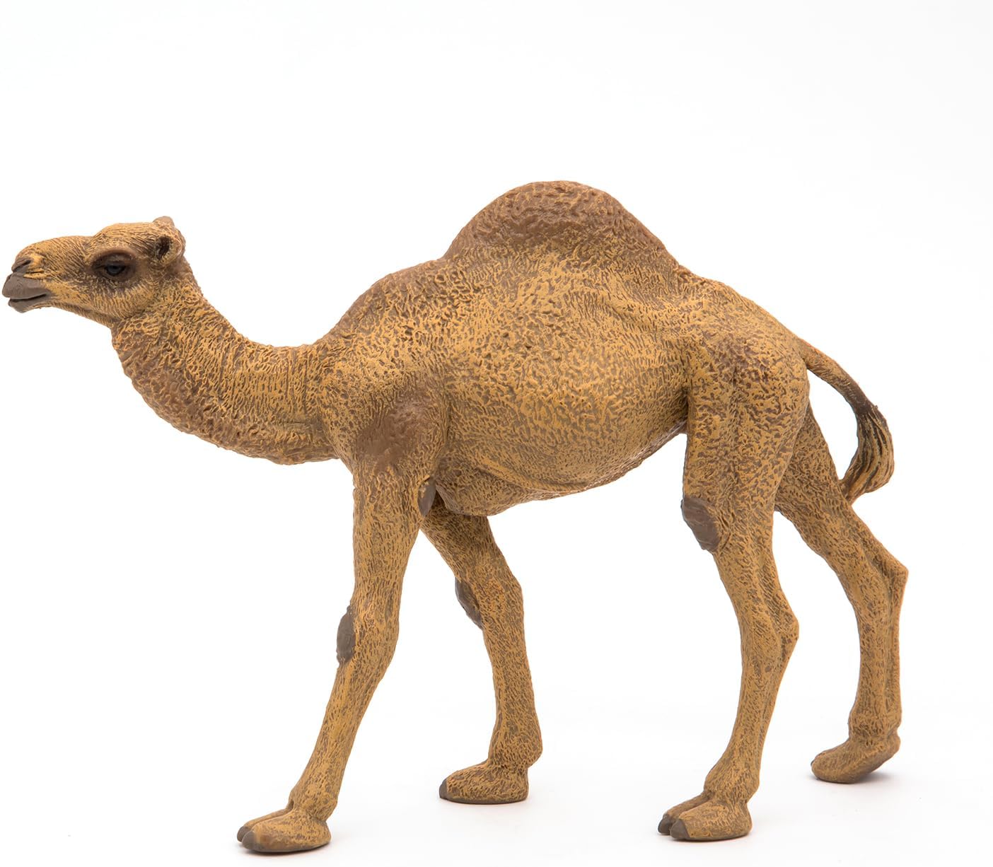 Figurina - Wild Animal Kingdom - Dromedary | Papo - 6 | YEO