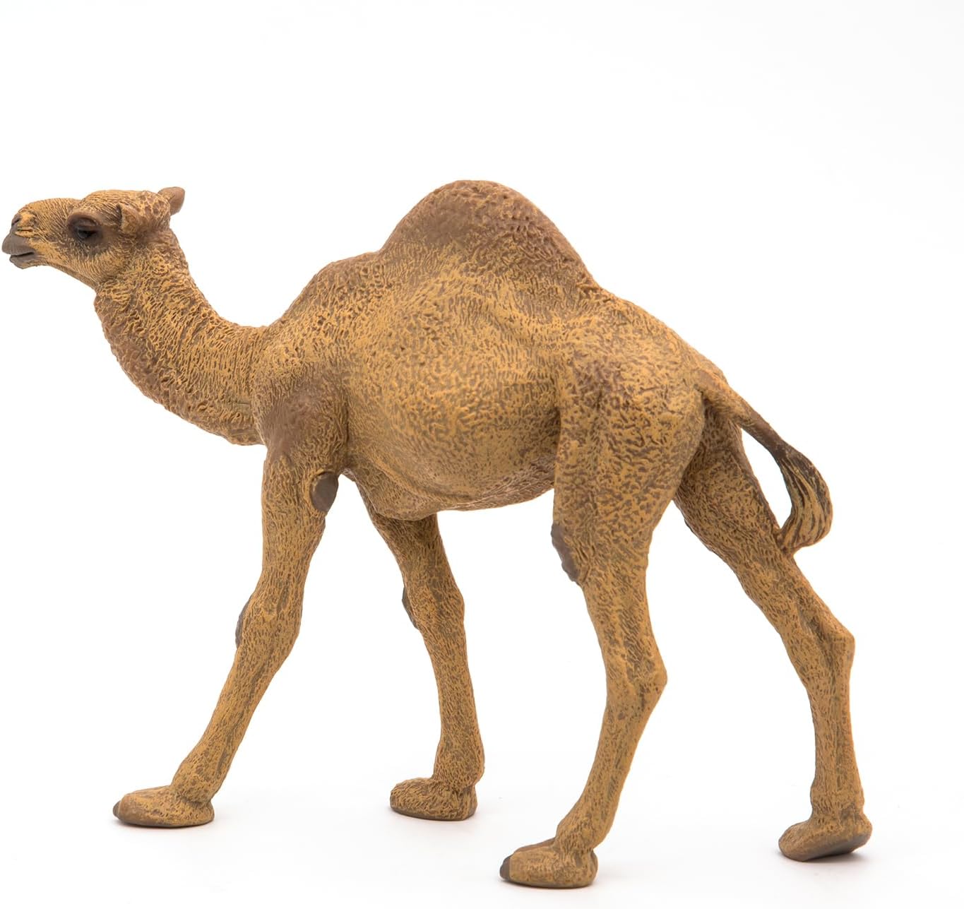 Figurina - Wild Animal Kingdom - Dromedary | Papo - 7 | YEO