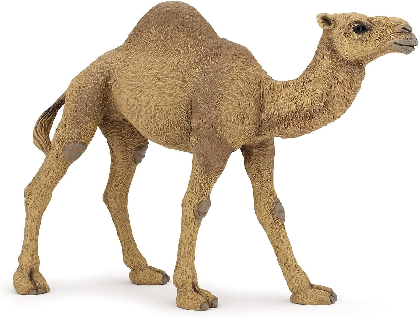 Figurina - Wild Animal Kingdom - Dromedary | Papo