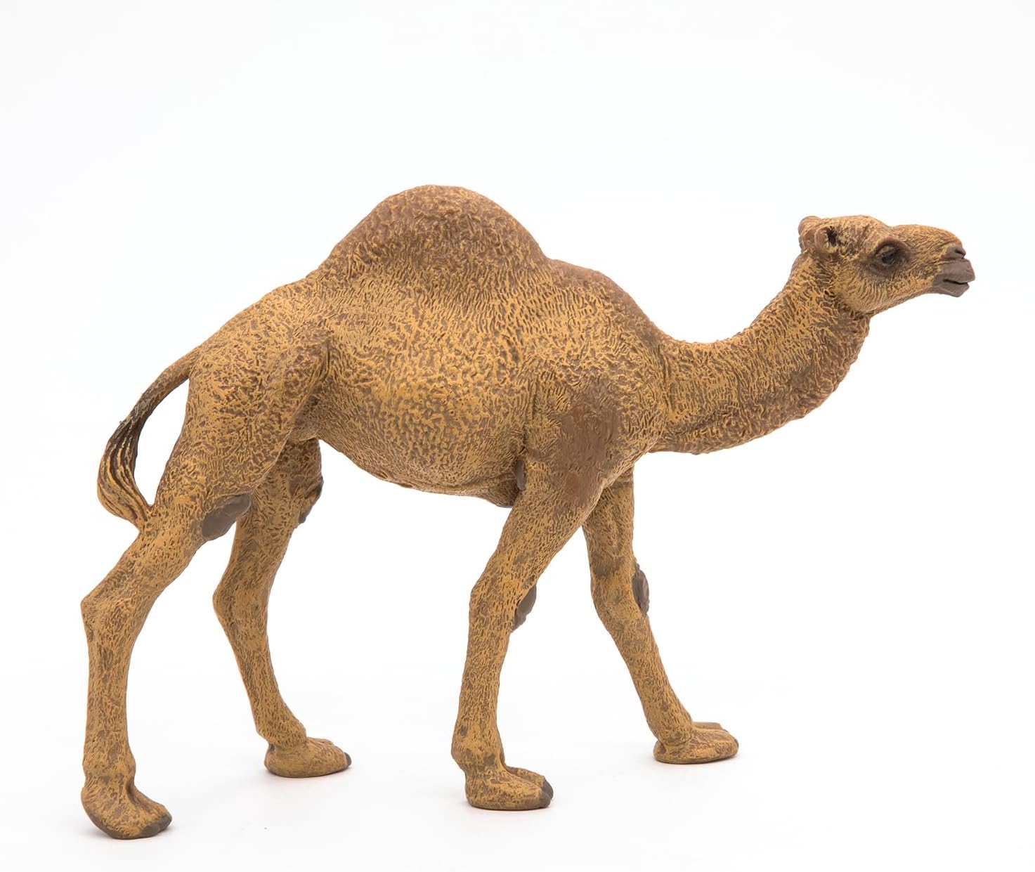 Figurina - Wild Animal Kingdom - Dromedary | Papo - 1 | YEO