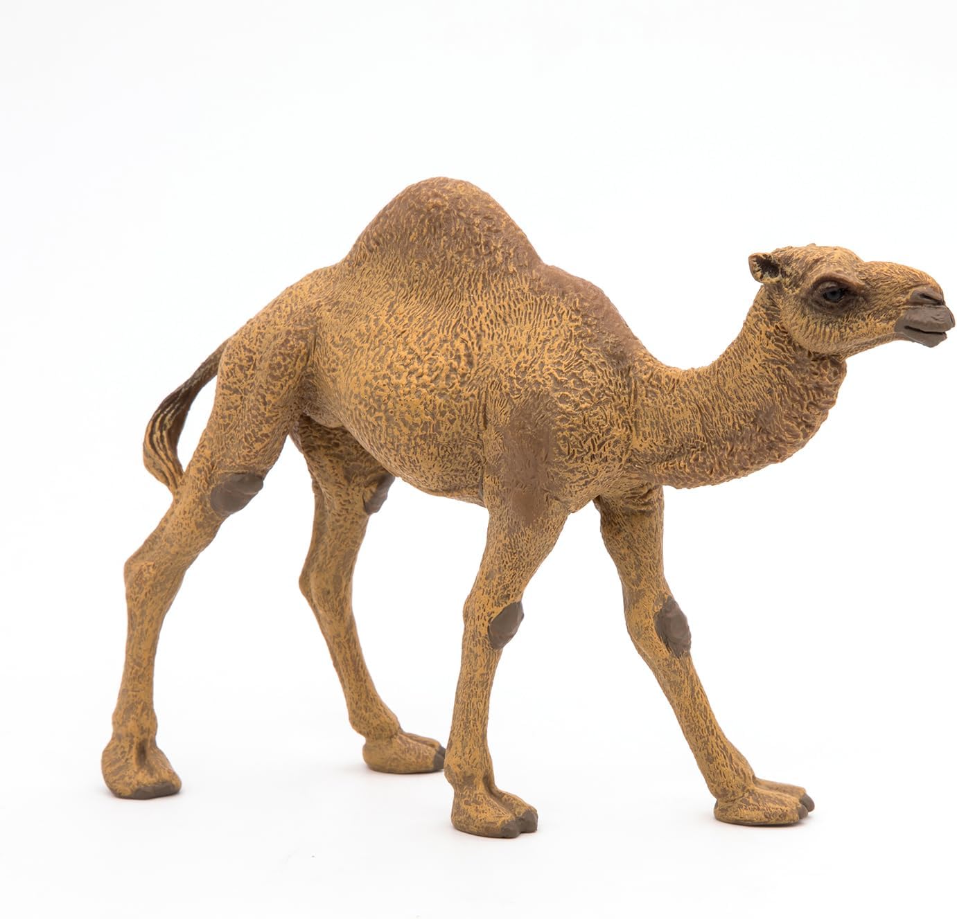 Figurina - Wild Animal Kingdom - Dromedary | Papo - 2 | YEO