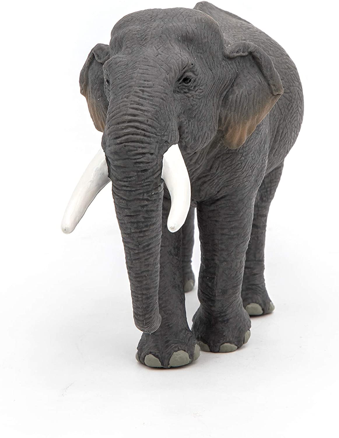 Figurina - Wild Animal Kingdom - Asian elephant | Papo - 2 | YEO