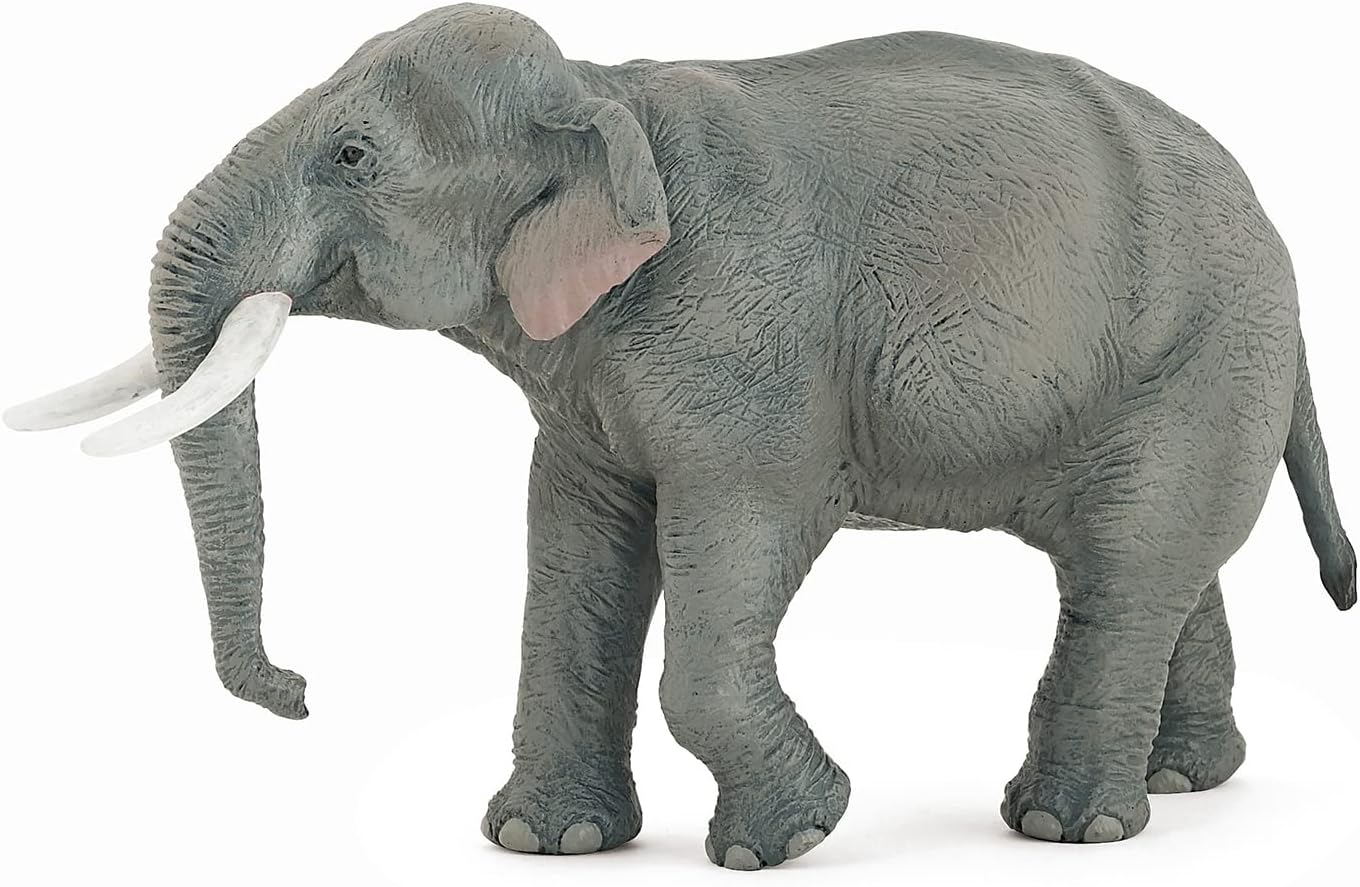 Figurina - Wild Animal Kingdom - Asian elephant | Papo - 7 | YEO