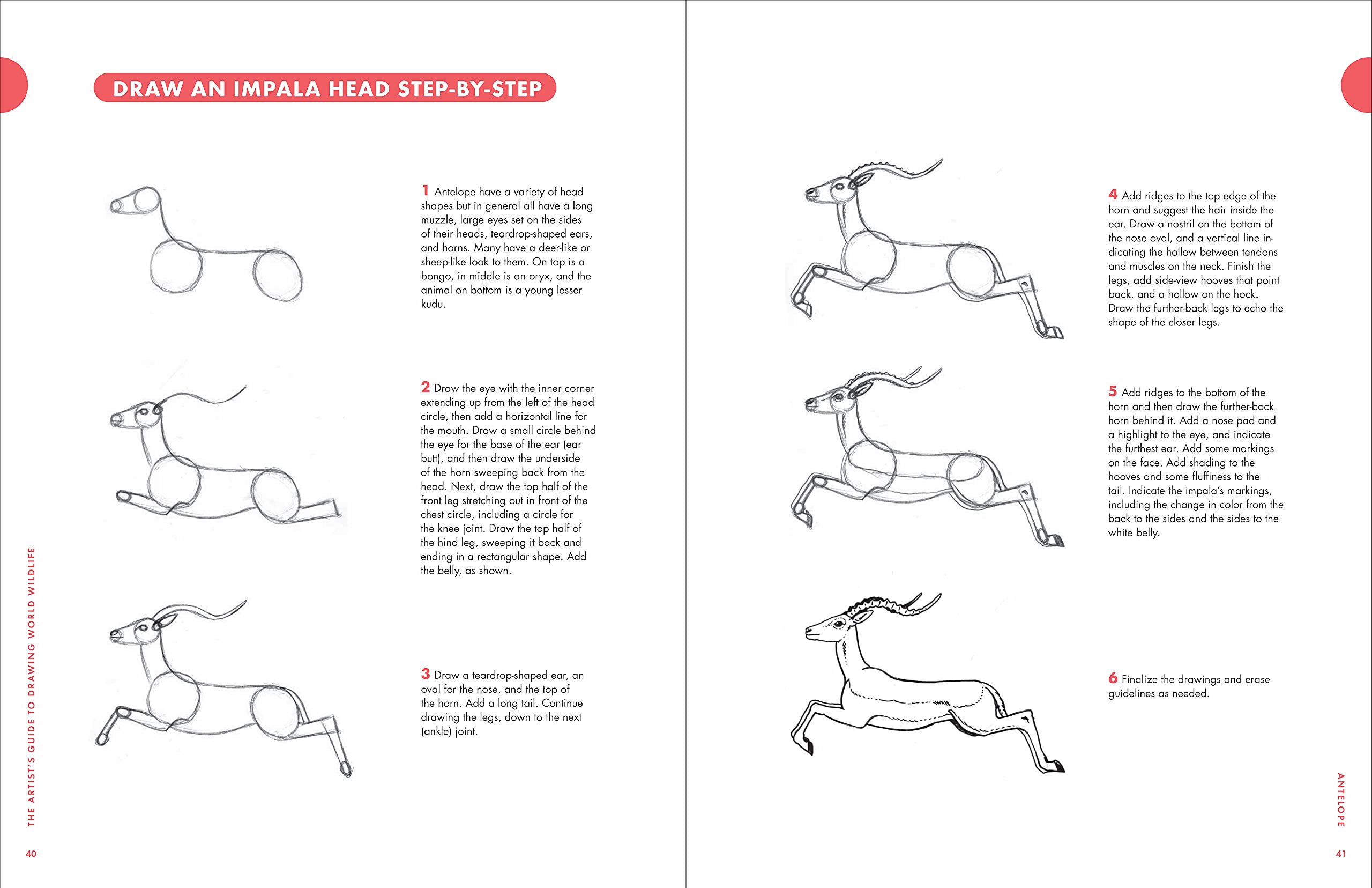 Artist\'s Guide to Drawing World Wildlife | J.C. Amberlyn - 1 | YEO