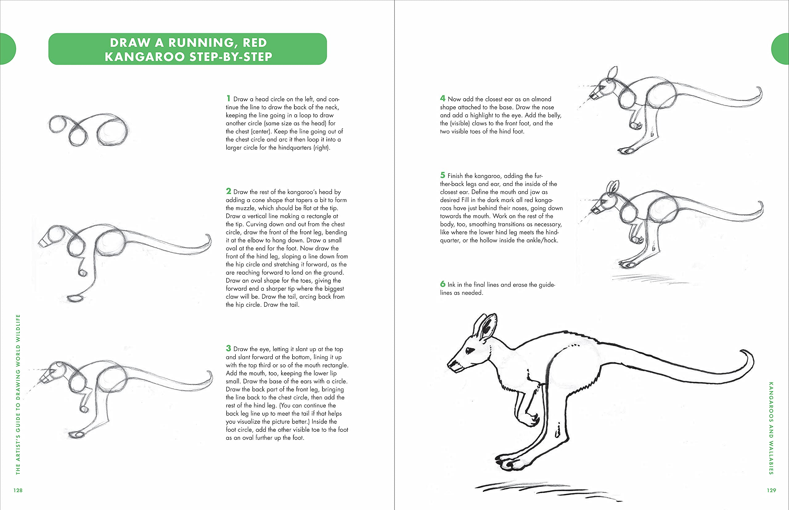 Artist\'s Guide to Drawing World Wildlife | J.C. Amberlyn - 6 | YEO