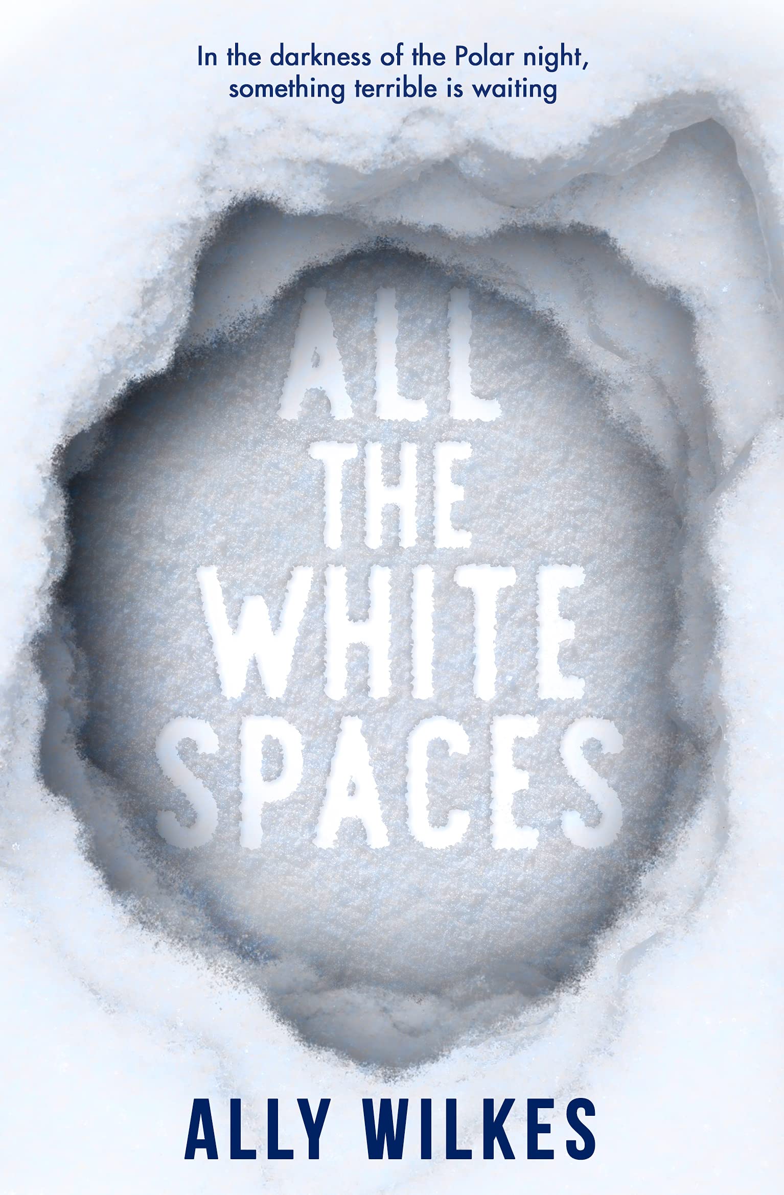 All the White Spaces | Ally Wilkes