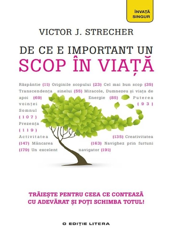 De ce e important un scop in viata | Victor J. Strecher