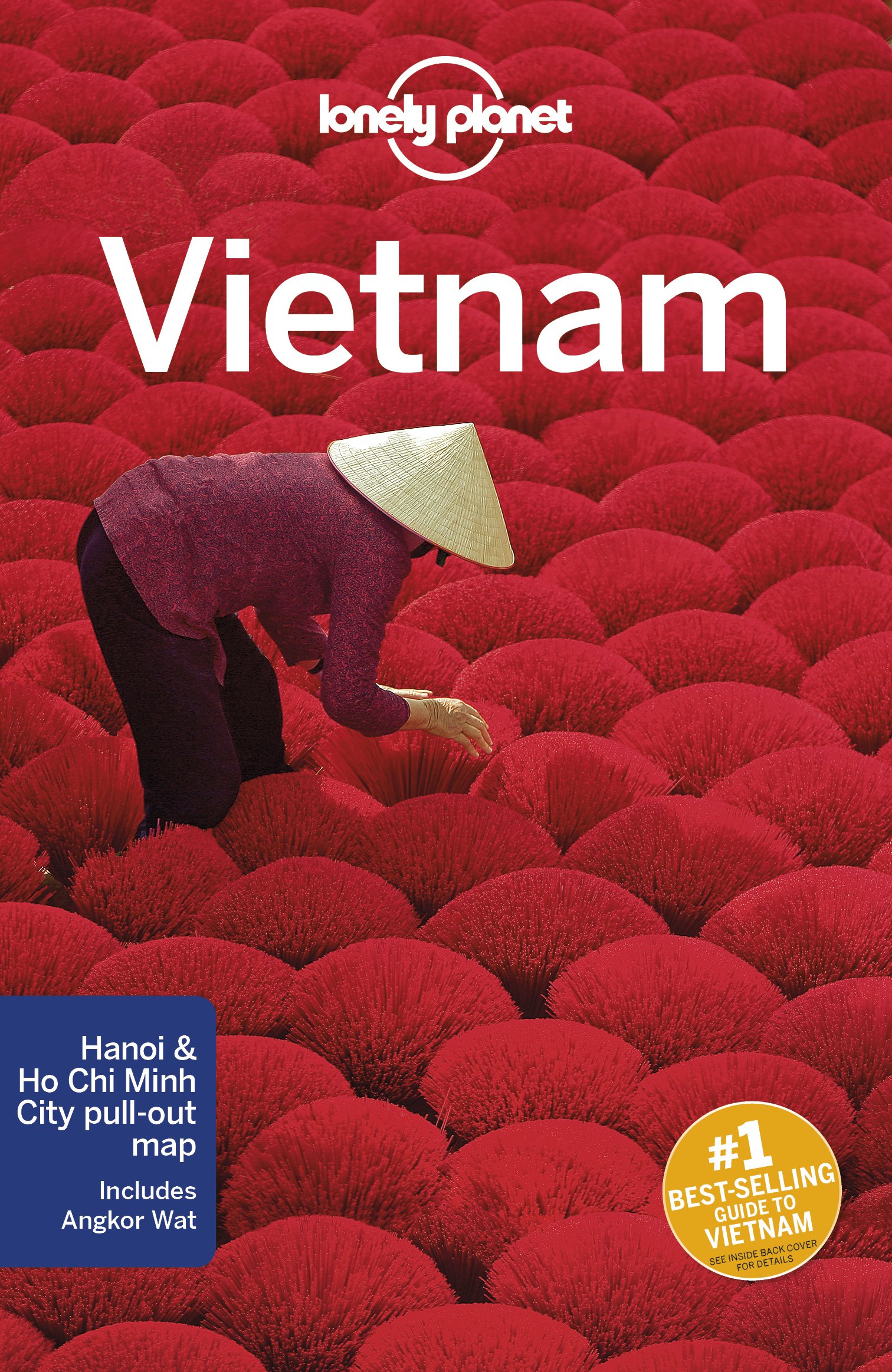 Lonely Planet Vietnam | Iain Stewart , Brett Atkinson, Austin Bush