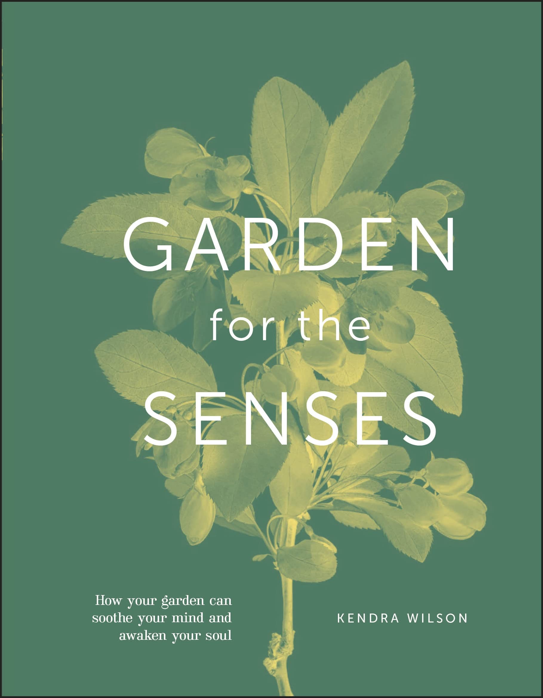 Garden for the Senses | Kendra Wilson - 9 | YEO