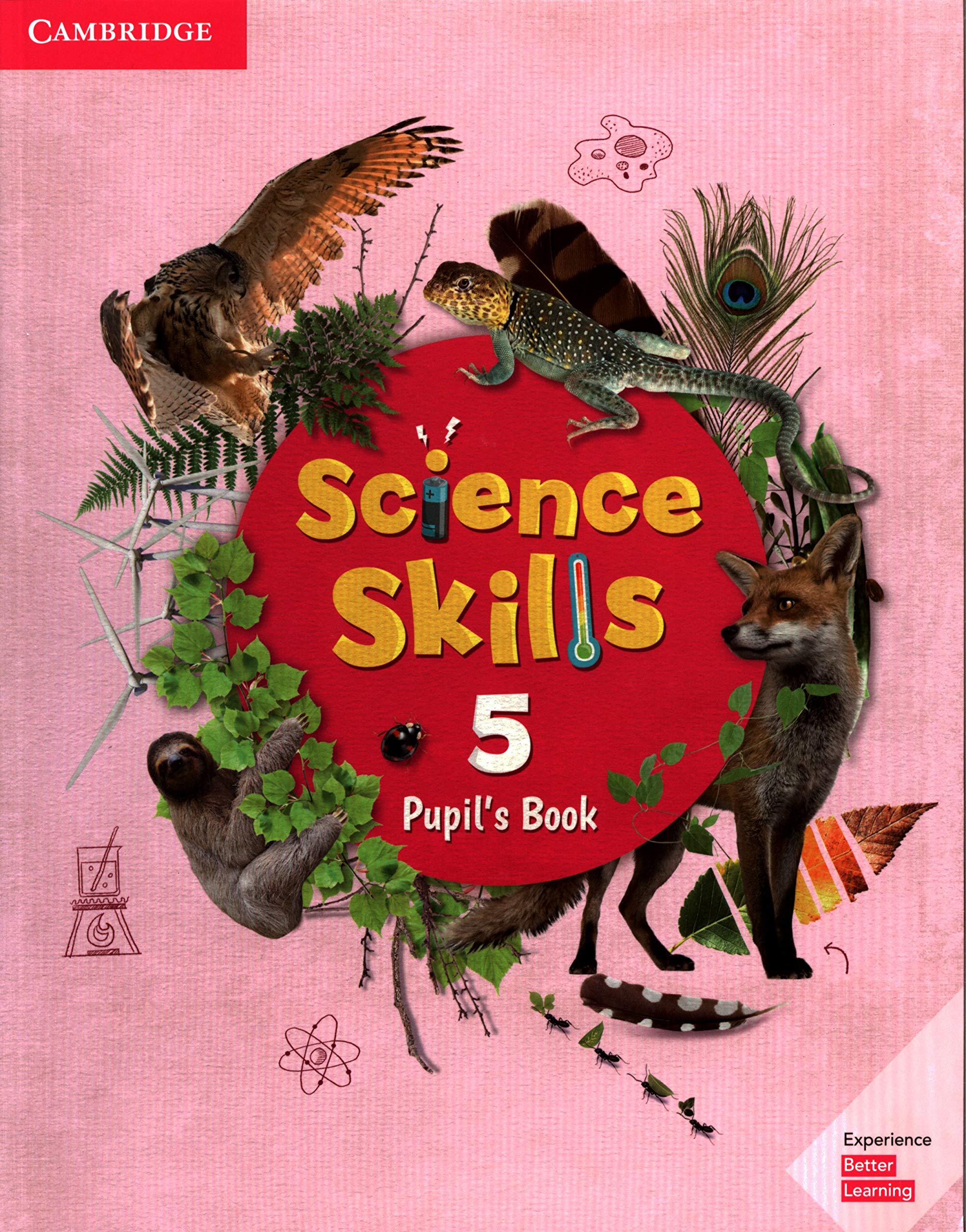 Science Skills Level 5 Pupil\'s Book |