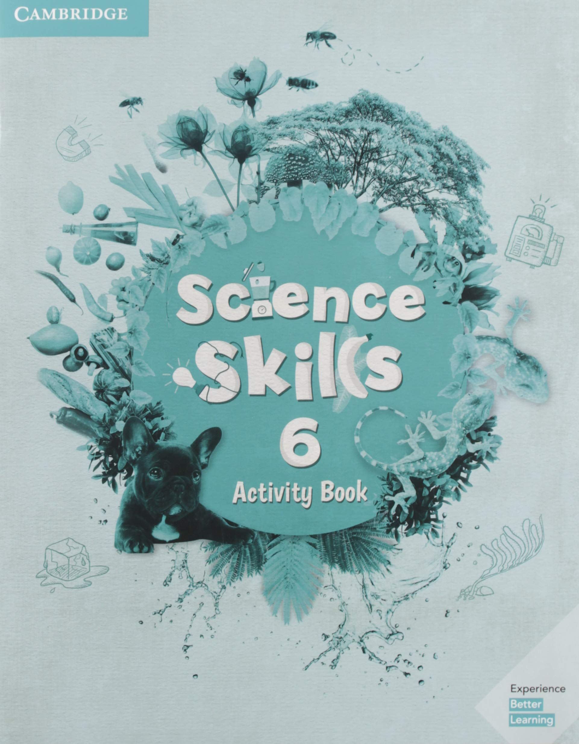 Science Skills Level 6 - Activity Book | - 1 | YEO