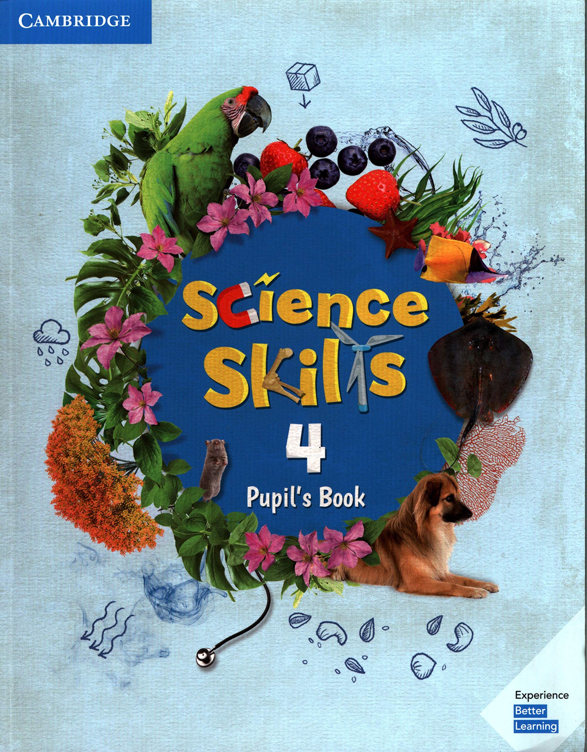 Science Skills Level 4 - Pupil\'s Book |