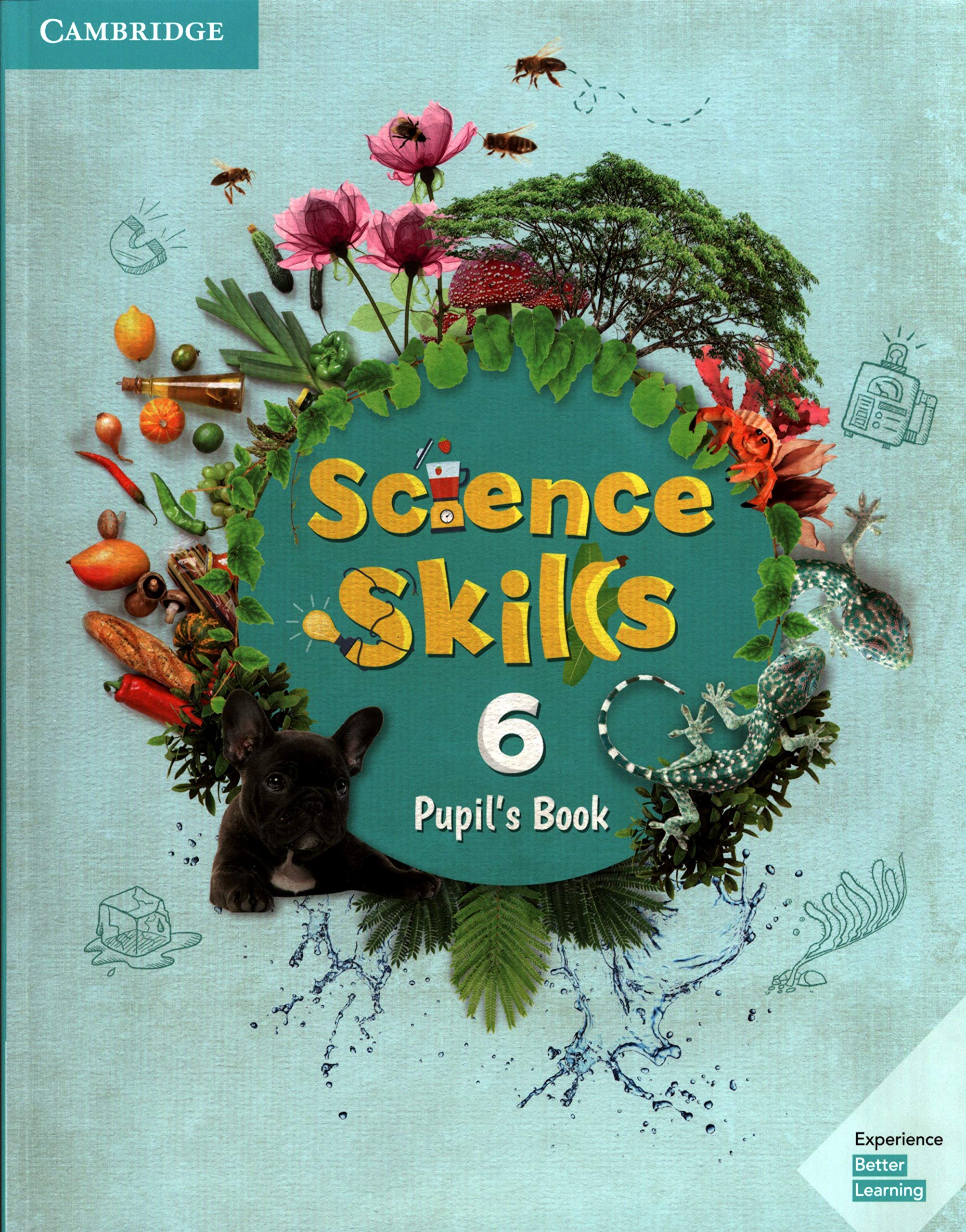 Science Skills Level 6 Pupil\'s Book |