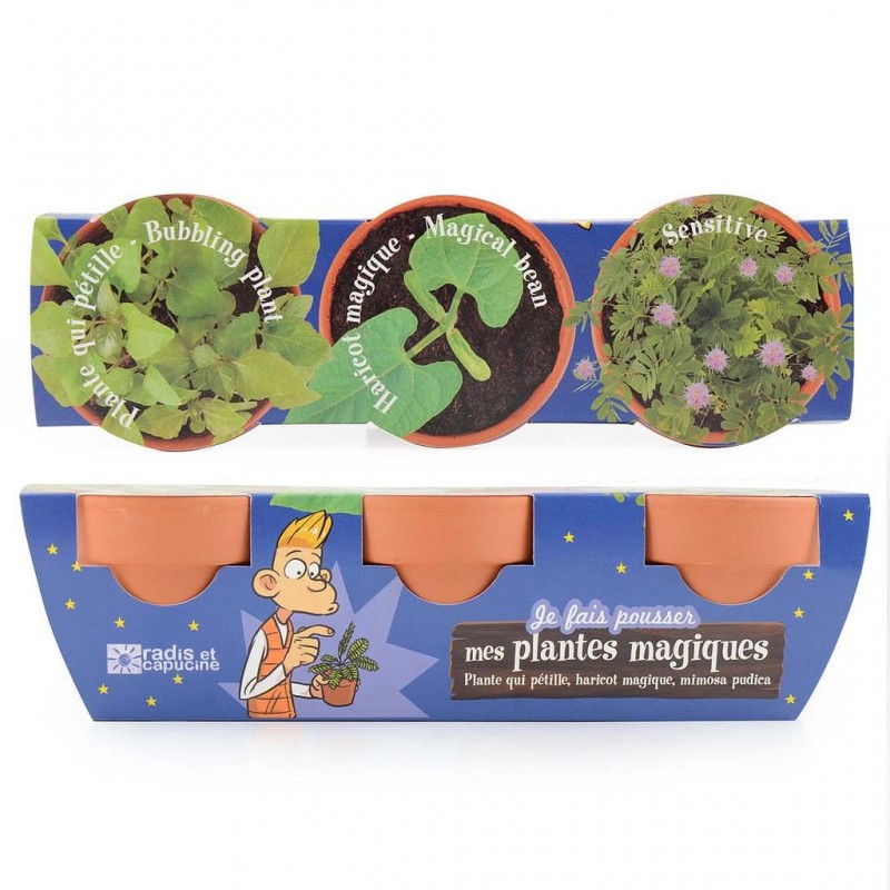 Kit cu 3 ghivece - Plante Magice - Mimoza, Vrej de Fasole, Bubbling Plant | Radis et Capucine