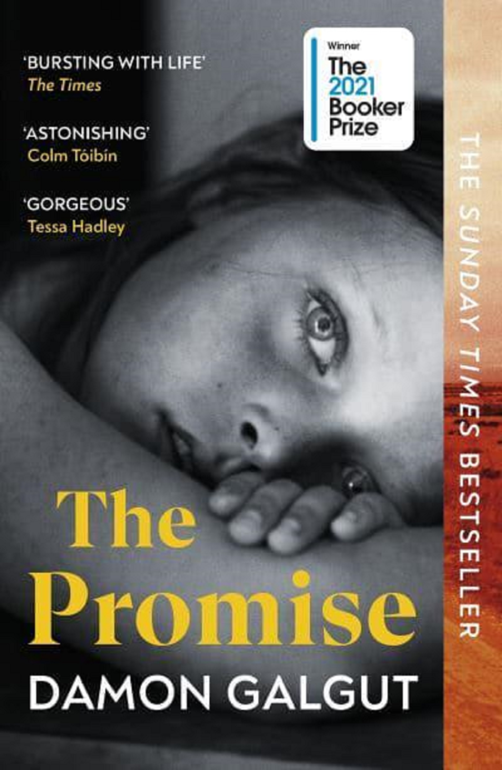 The Promise | Damon Galgut