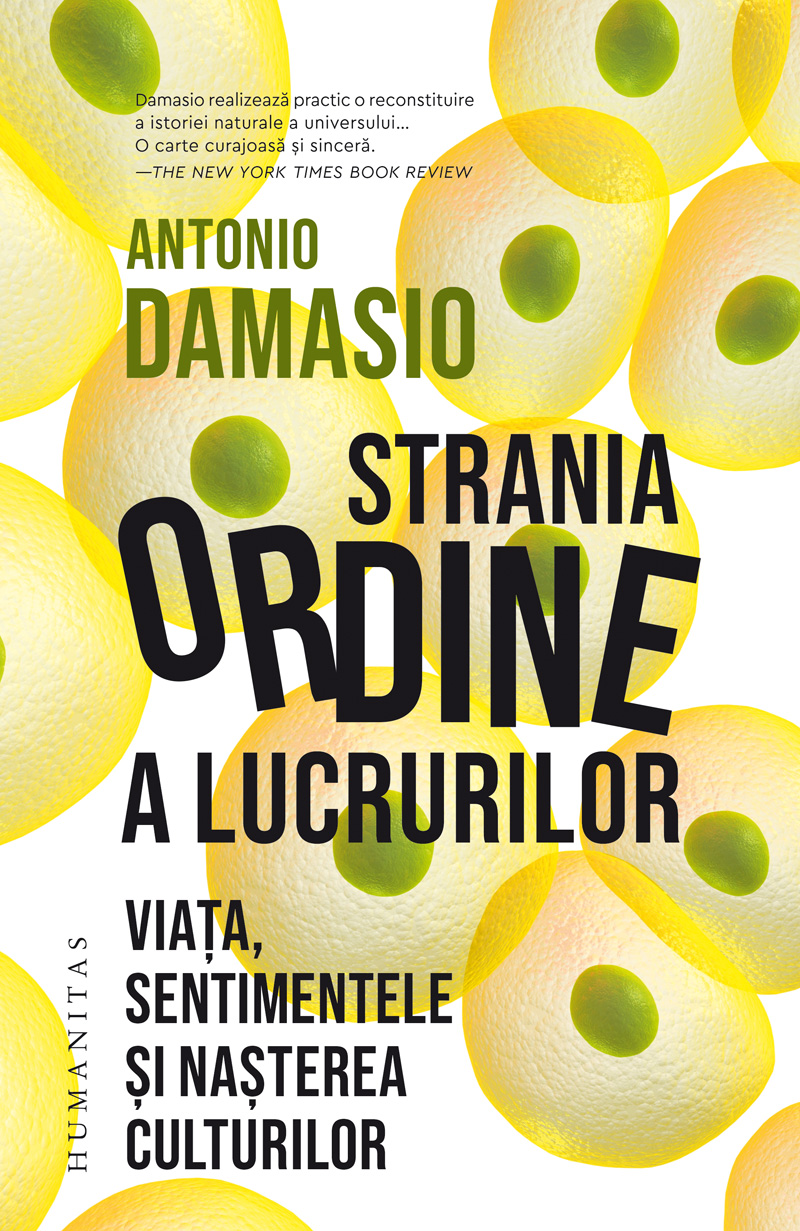 Strania ordine a lucrurilor | Antonio Damasio