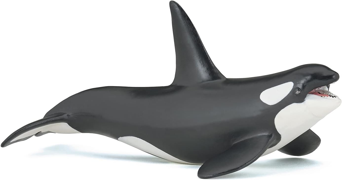 Figurina - Marine Life - Killer Whale | Papo