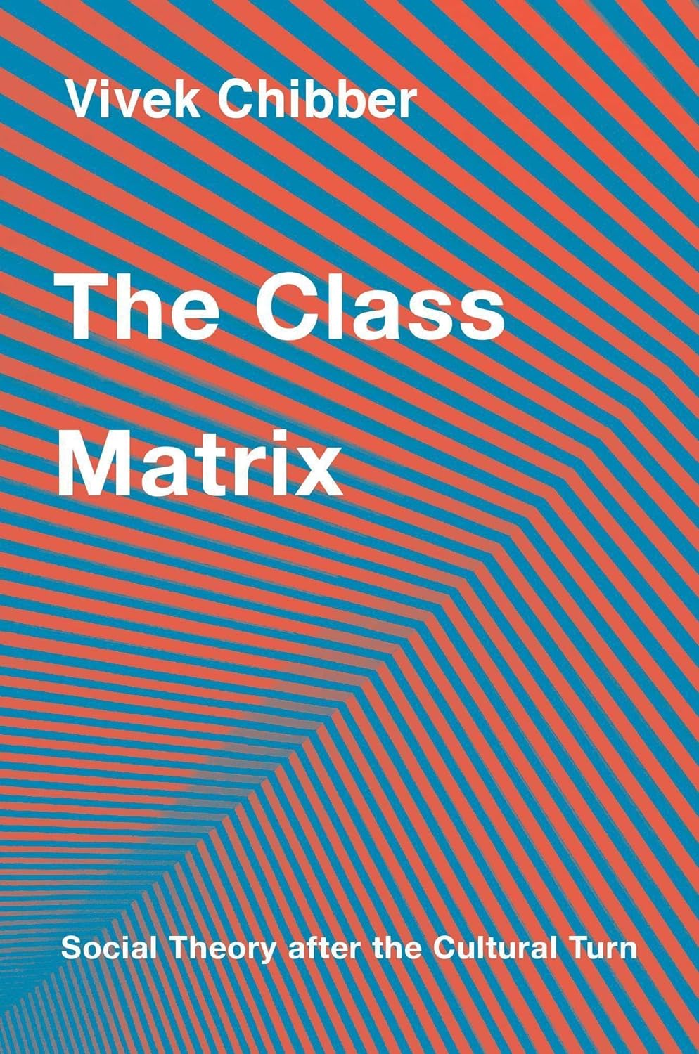 The Class Matrix | Vivek Chibber