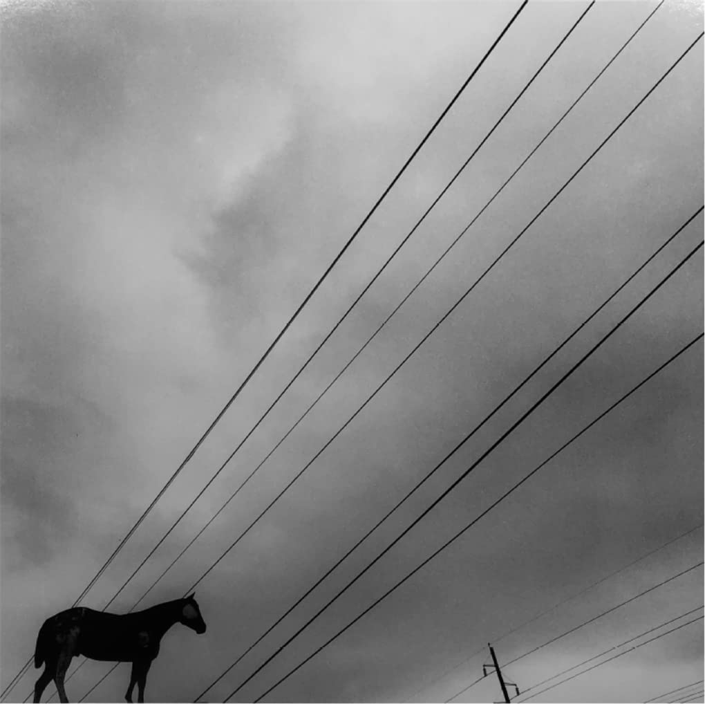 Heliotropo 37 | Graciela Iturbide - 2 | YEO