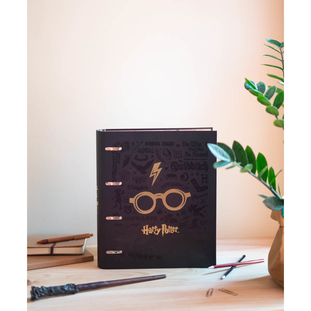 Dosar - Premium 4 Rings Binder - Harry Potter | Grupo Erik - 2 | YEO