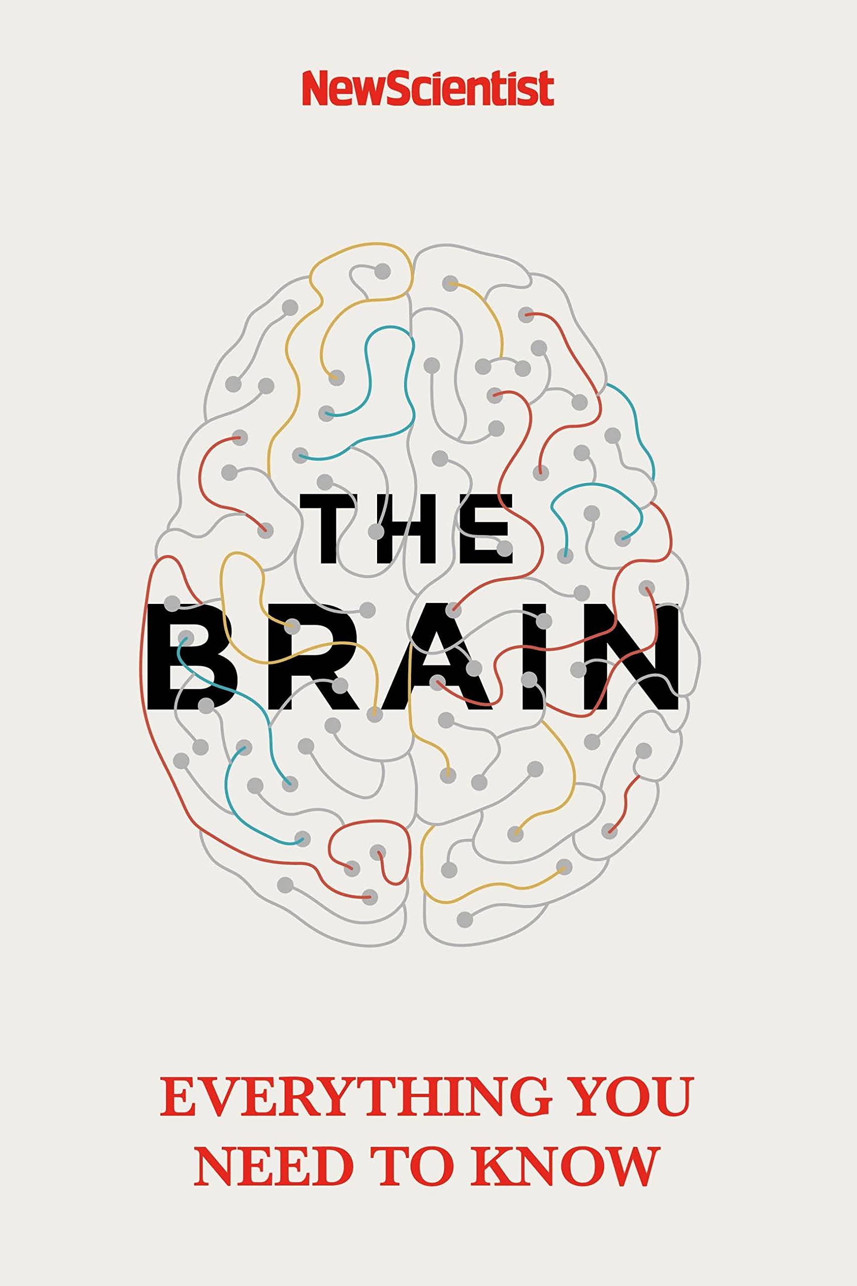 The Brain | New Scientist
