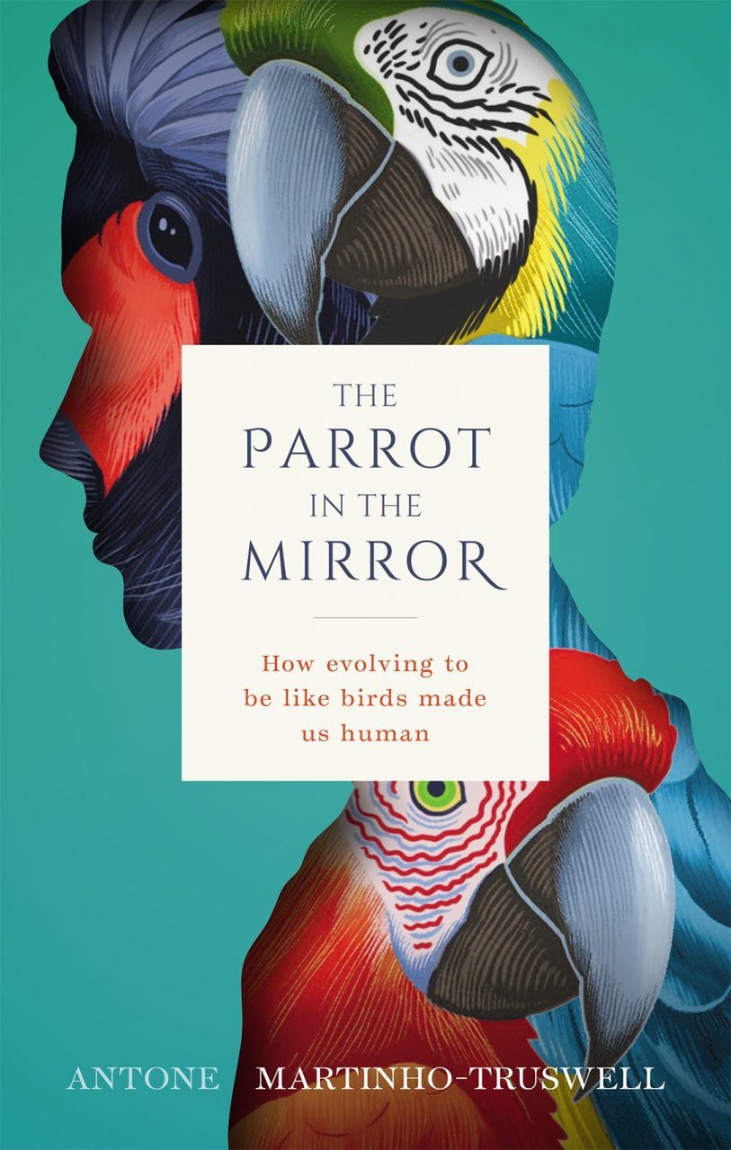 The Parrot in the Mirror | Antone Martinho-Truswell