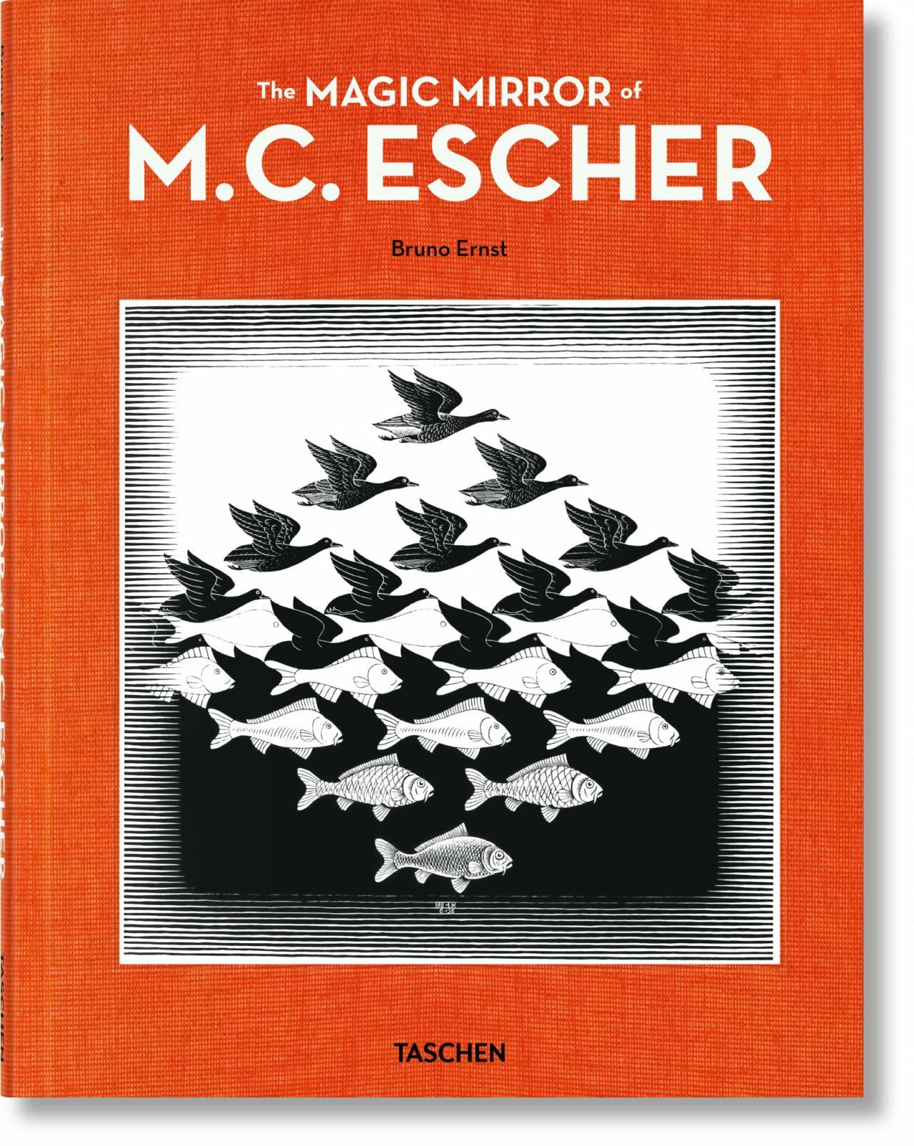 The Magic Mirror of M.C. Escher |
