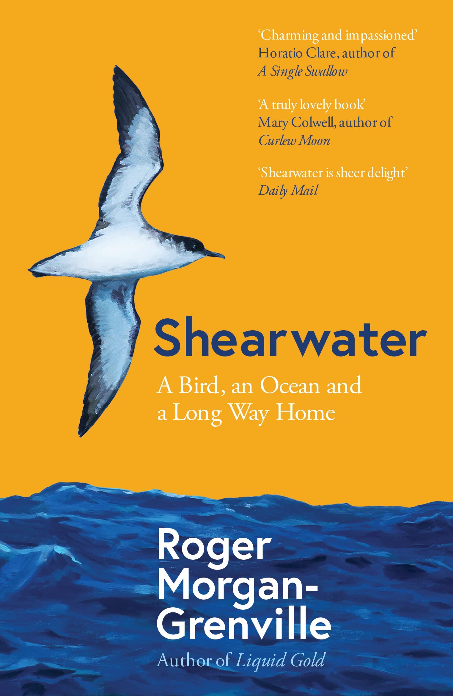 Shearwater | Roger Morgan-Grenville