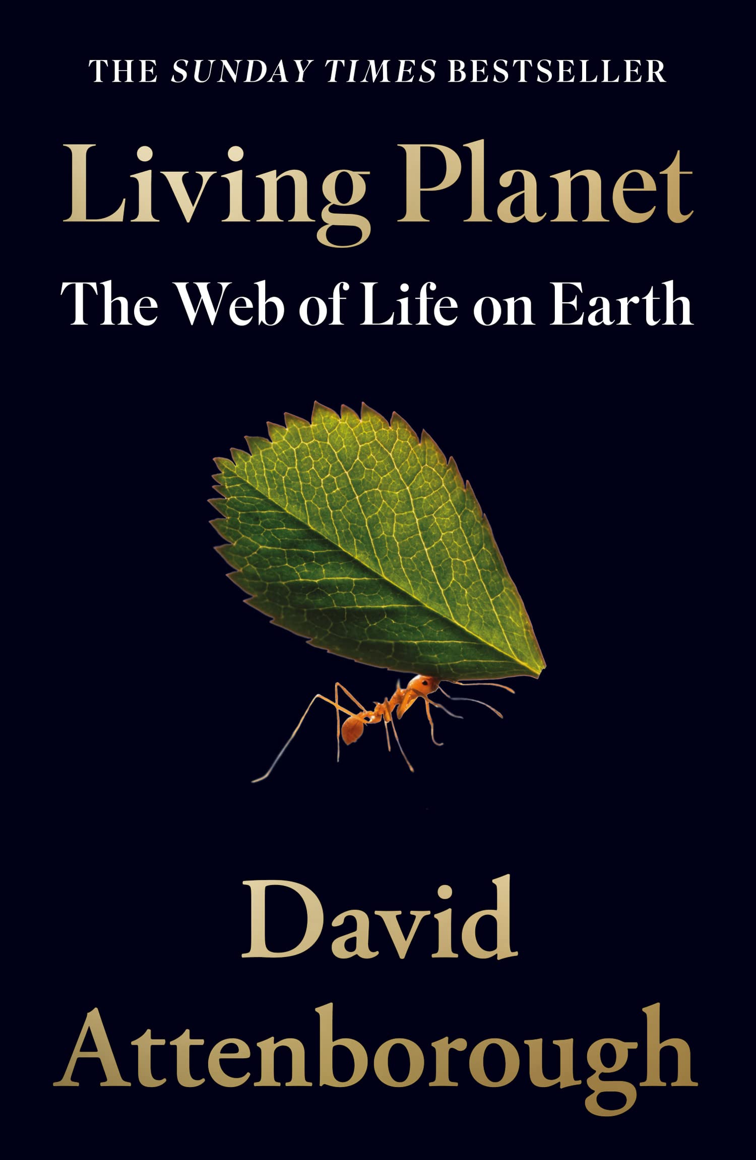 Living Planet | David Attenborough