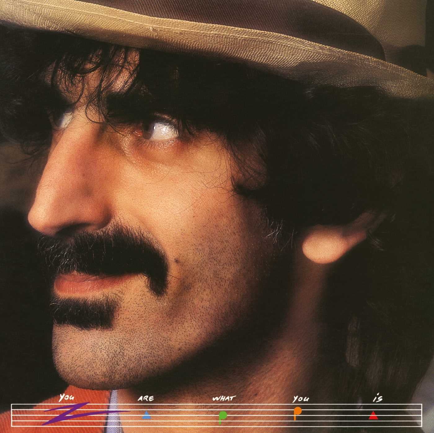 You Are What You Is | Frank Zappa image0