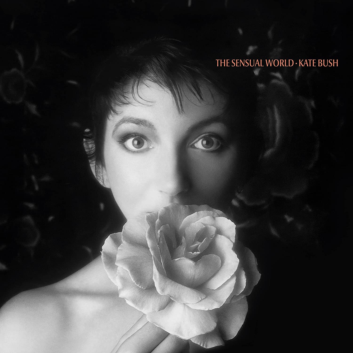 The Sensual World | Kate Bush - 1 | YEO