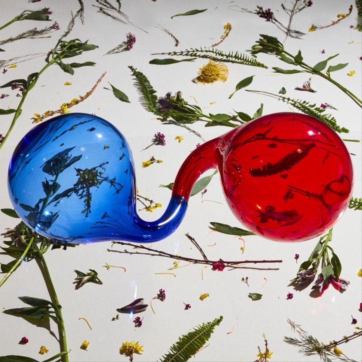 Lamp Lit Prose - Vinyl | Dirty Projectors