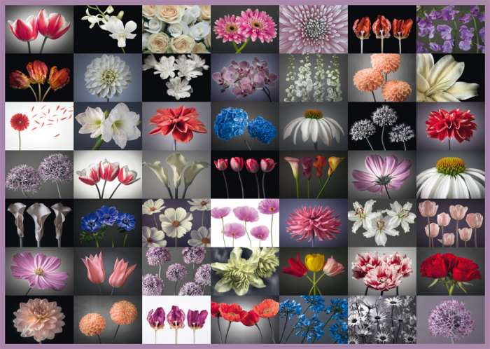 Puzzle 2000 piese - Floral Greeting | Schmidt - 1