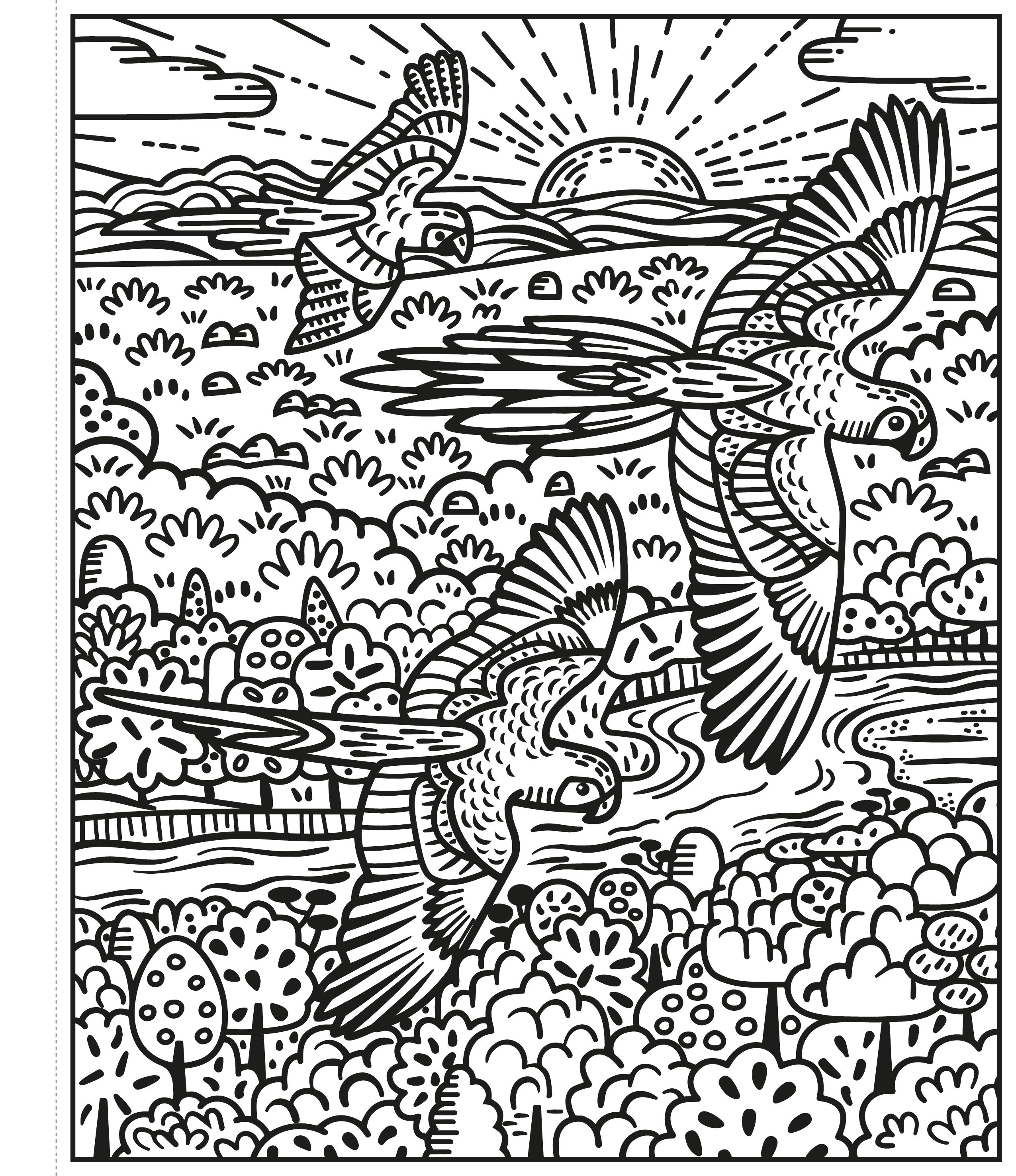 Birds Magic Painting Book | Sam Baer