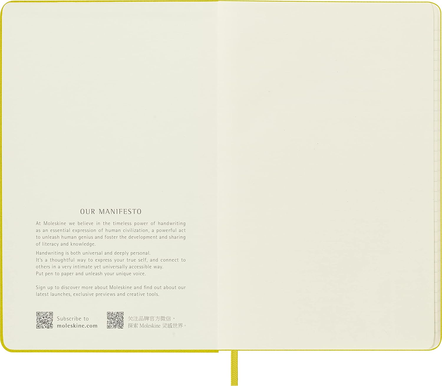 Carnet - Moleskine Classic - Large, Silk Hard Cover, Ruled - Hay Yellow | Moleskine - 1 | YEO