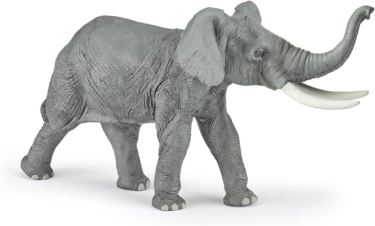 Figurina - Wild Animal Kingdom - Elephant | Papo - 7 | YEO