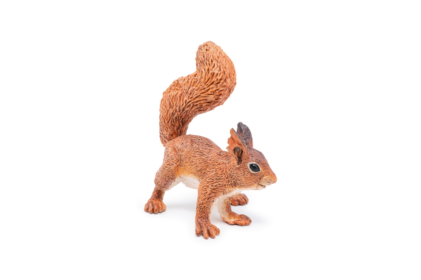 Figurina - Wild Animal Kingdom - Squirrel | Papo