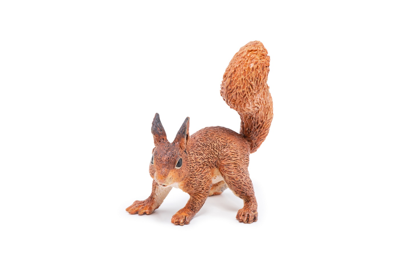 Figurina - Wild Animal Kingdom - Squirrel | Papo - 2 | YEO