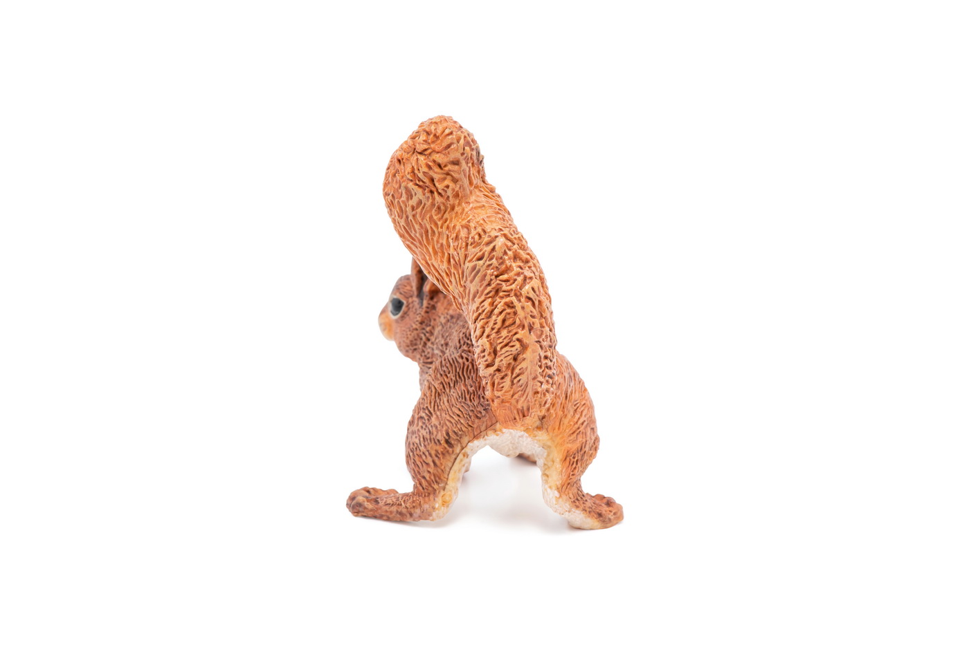 Figurina - Wild Animal Kingdom - Squirrel | Papo - 4 | YEO