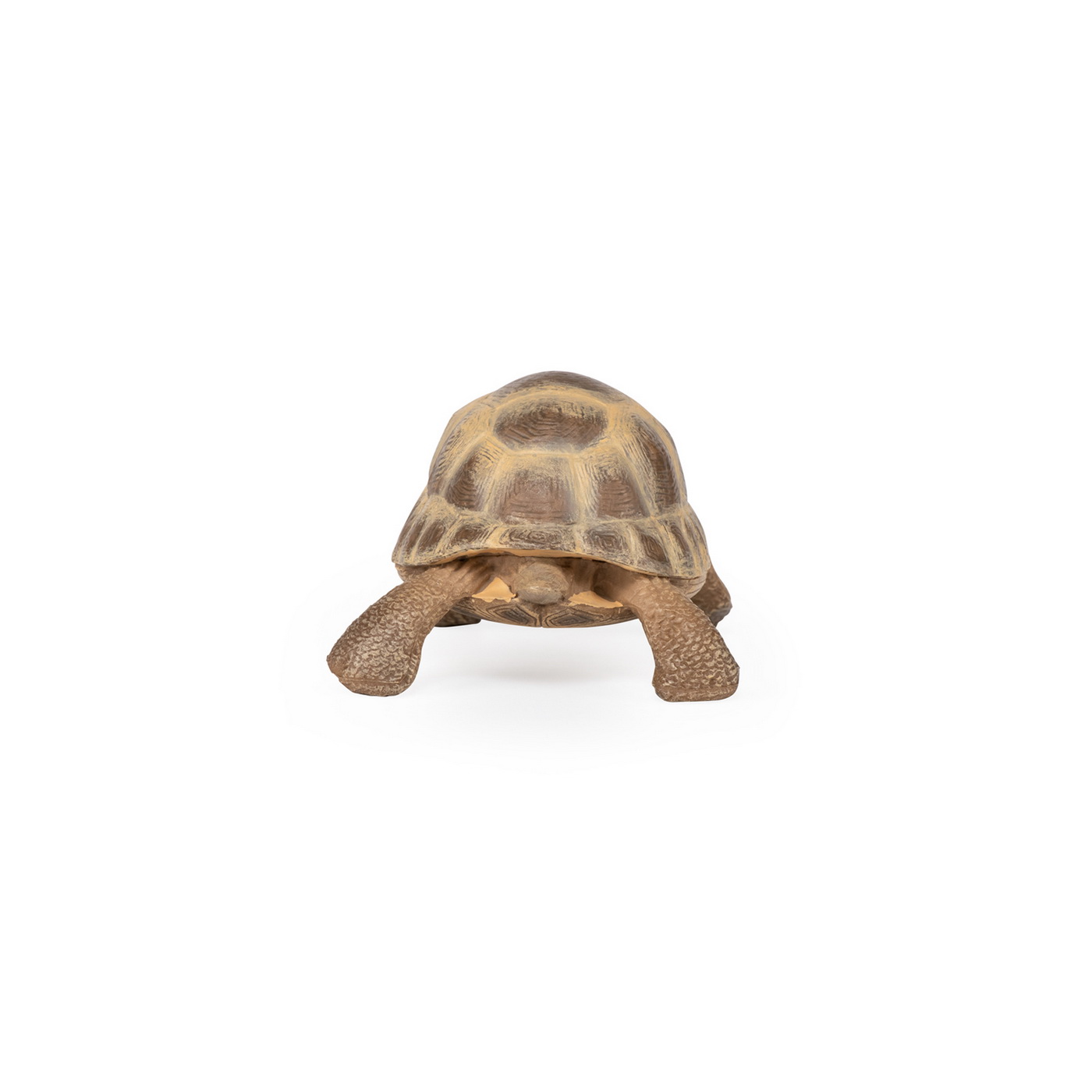 Figurina - Wild Animal Kingdom - Hermann\'s Tortoise | Papo